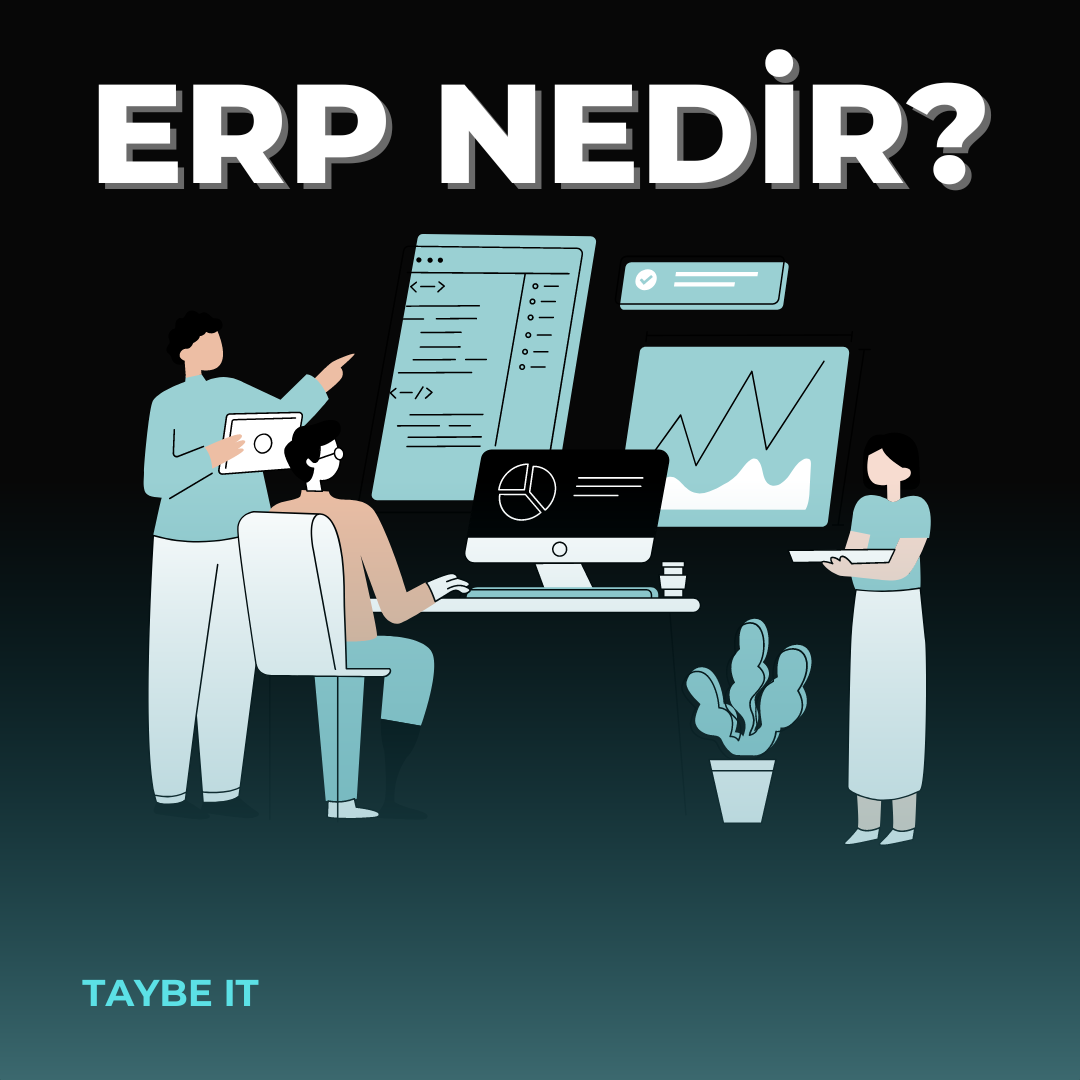 WHAT IS AN ERP SYSTEM ?